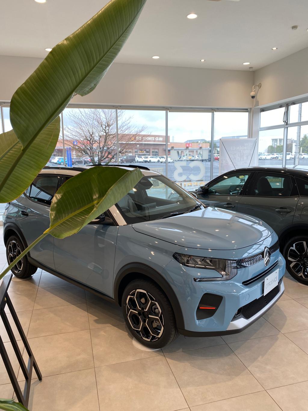 展示車にC3が仲間入り♪