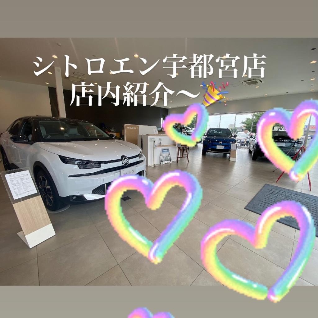 ショールーム紹介(⋈◍＞◡＜◍)。✧♡